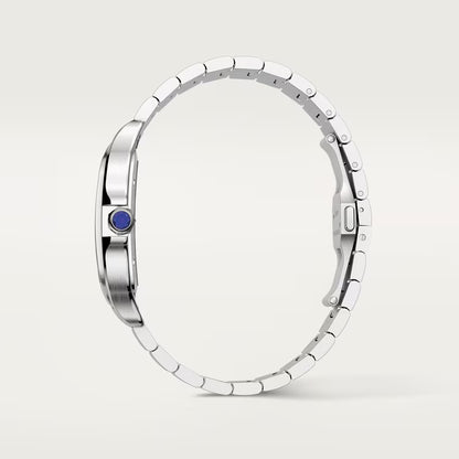 Santos De Cartier WHSA0015 Automatic Skeleton Men's Watch